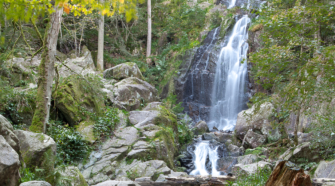 Cascade du Tendon dans les Vosges