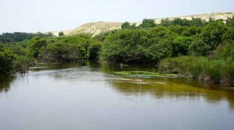 Courant d'Huchet dans les Landes