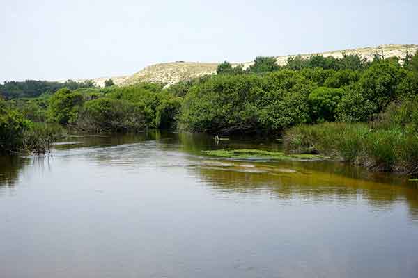 Courant d'Huchet in the Landes