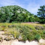 Mount Gerbier de Jonc Camping Ardèche