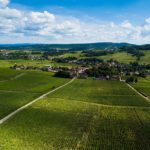 Mercurey Vineyard in Burgundy