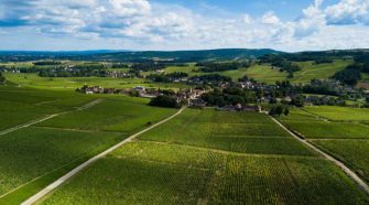 Vignoble de Mercurey en Bourgogne