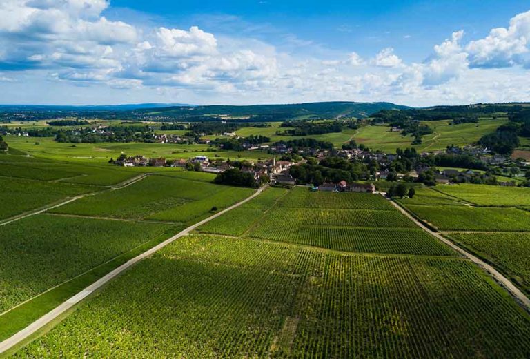 Vignoble de Mercurey en Bourgogne