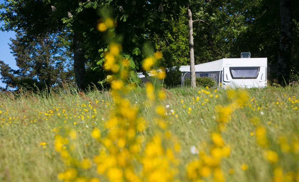 CAMPING DORDOGNE