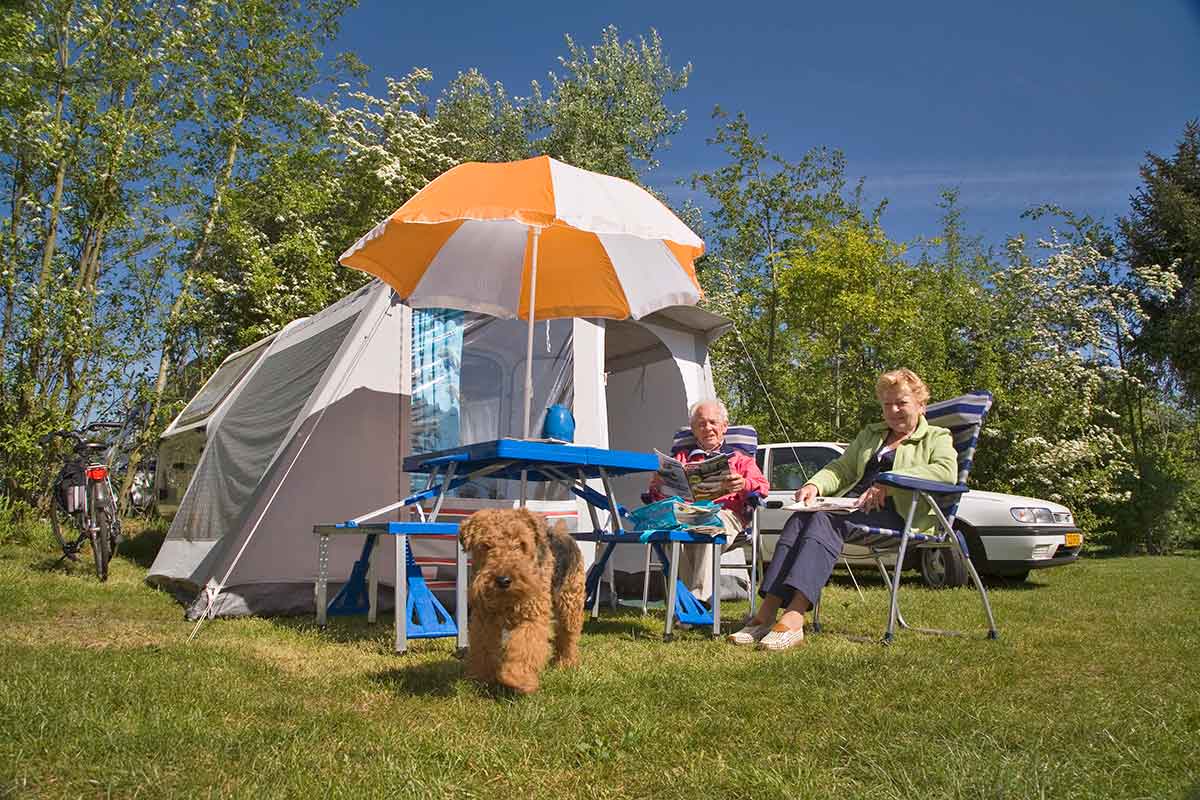 Camping with Dogs