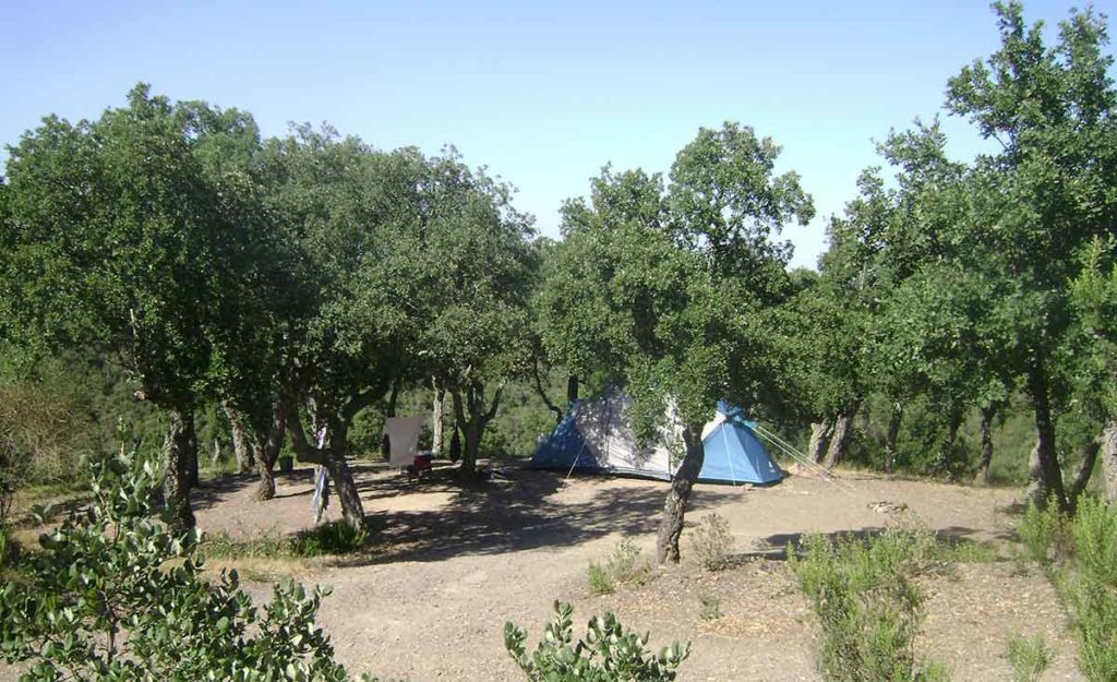 Camping Pyrénées Orientales Llauro