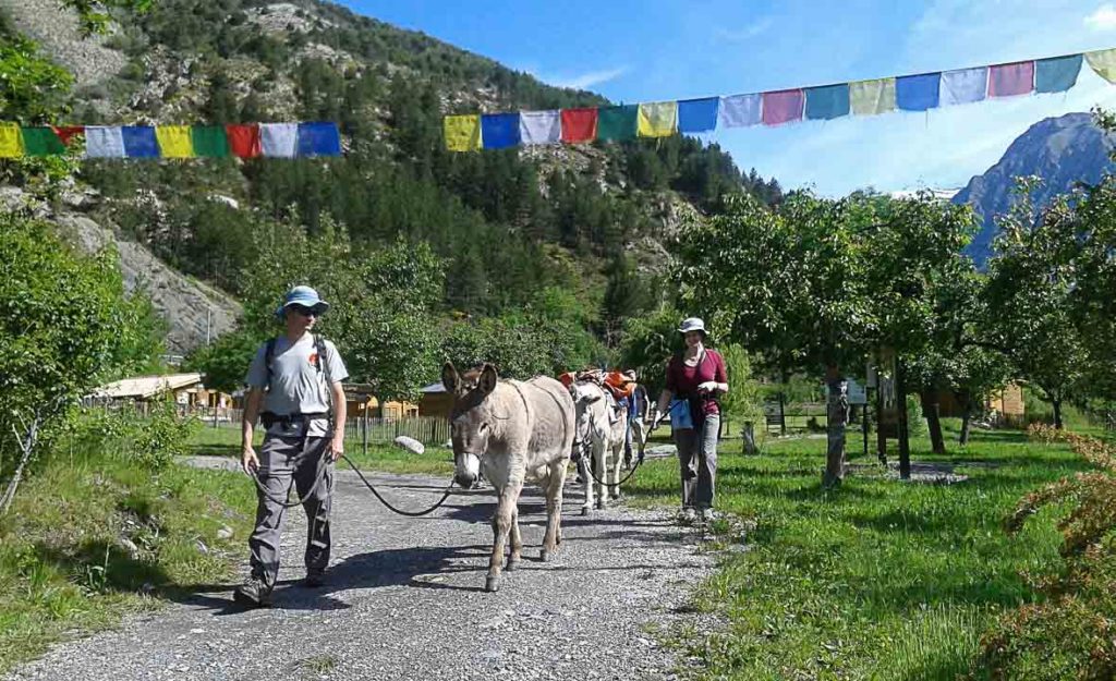 Camping Alpes de Haute Provence Mandala