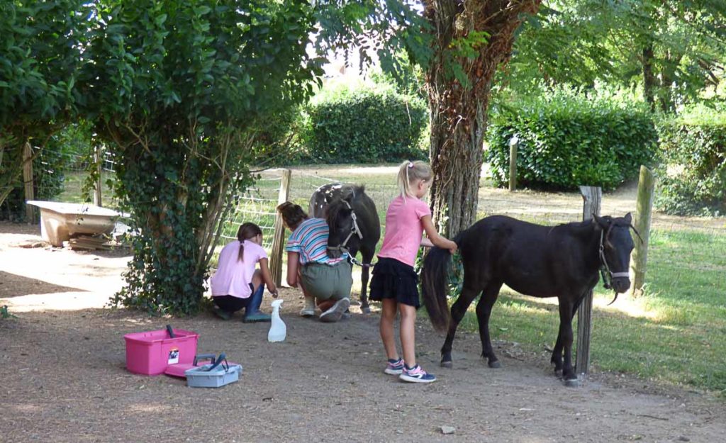 Camping Aude Porte d'Autan