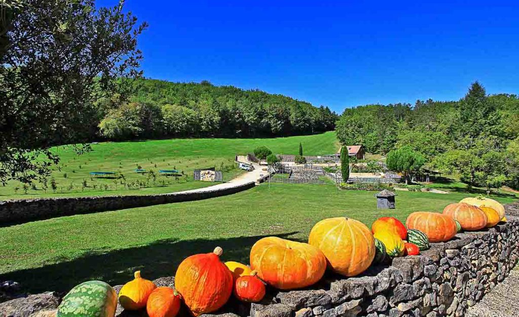 Camping Dordogne Périgord Vacances