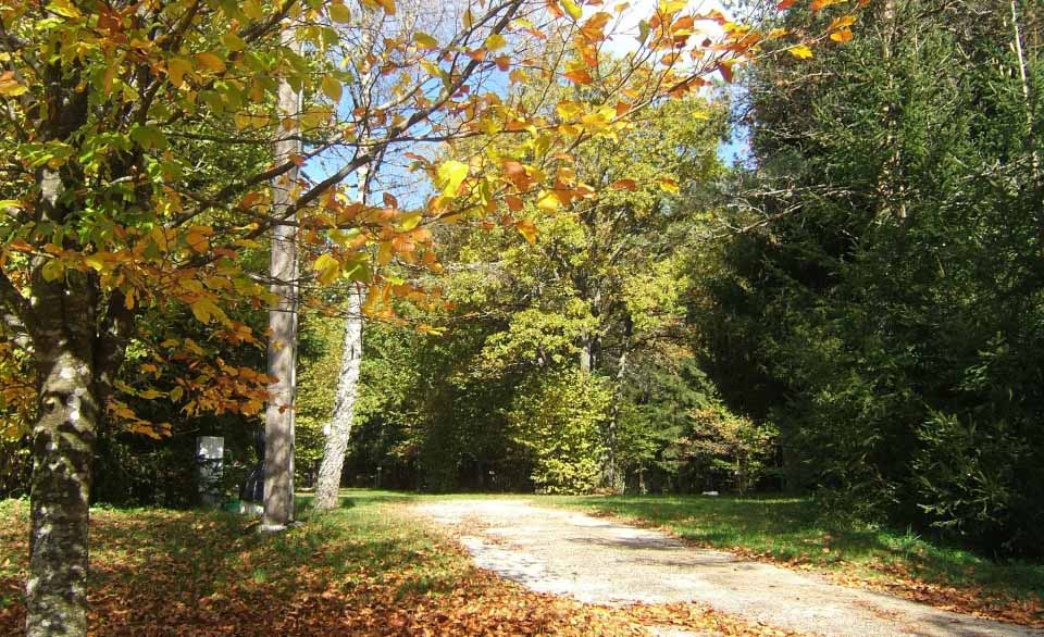 Camping Doubs Forêt