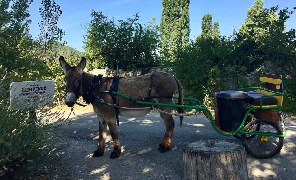 Camping Drôme les Chapelains