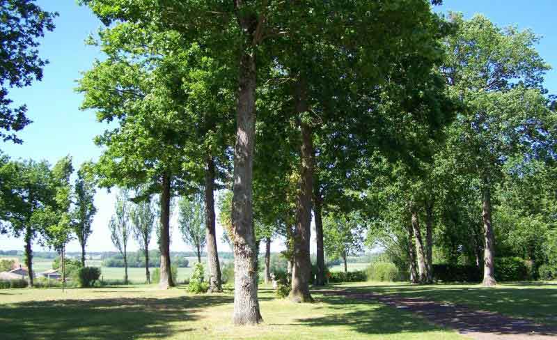 camping du Parc en Charente-Maritime