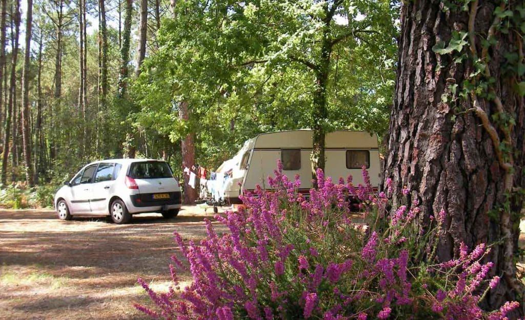 Camping Landes pour caravane