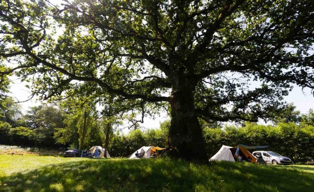 Camping pour caravane en Bourgogne
