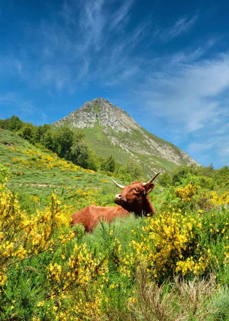 Camping dans les volcans d'Auvergne