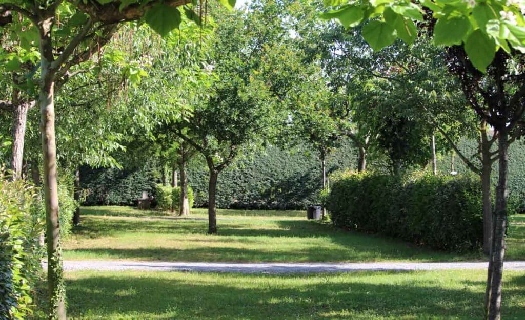 Emplacement de camping en Ardèche à Berrias-et-Casteljau