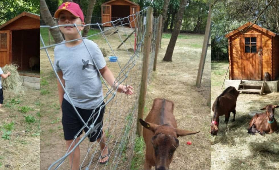 Emplacement de camping en Ardèche à Berrias-et-Casteljau