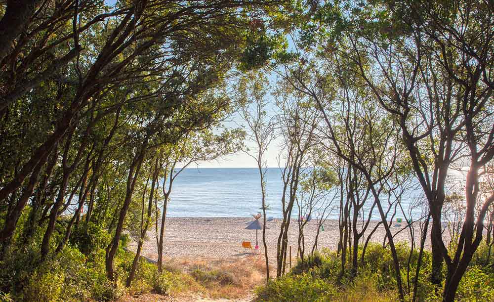 Camping Naturiste en Corse