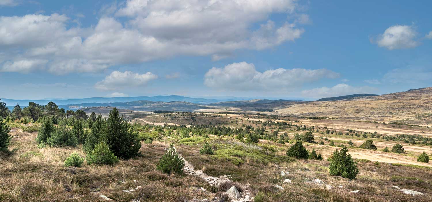 Camping dans les Cévennes