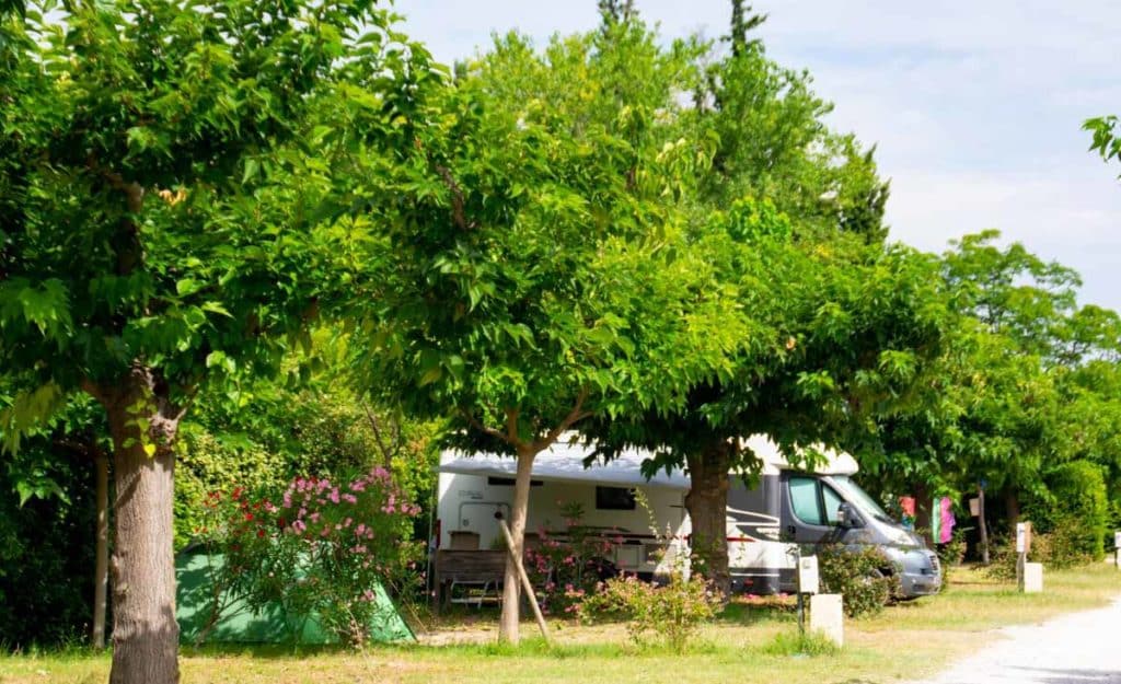 Petit camping à Avignon