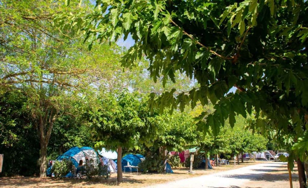 Petit camping à Avignon