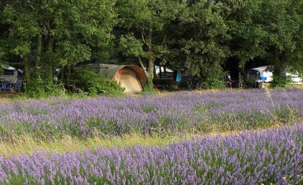 Emplacement de Camping Drôme les Truffières