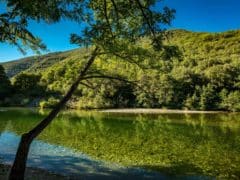 Camping dans les cévennes Camping dans les cévennes