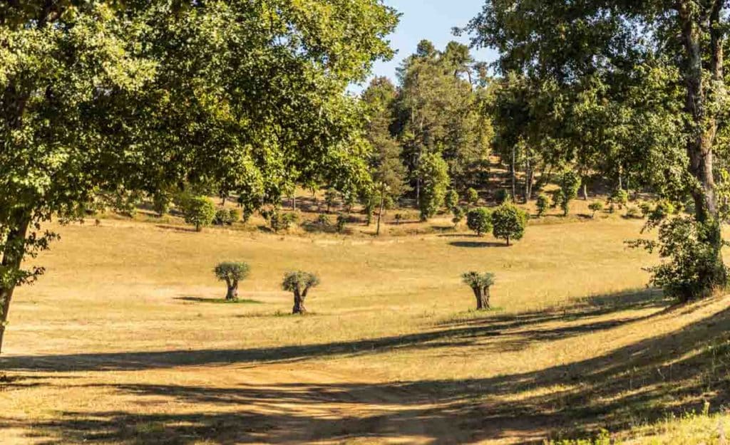 Emplacement de camping dans la Drôme