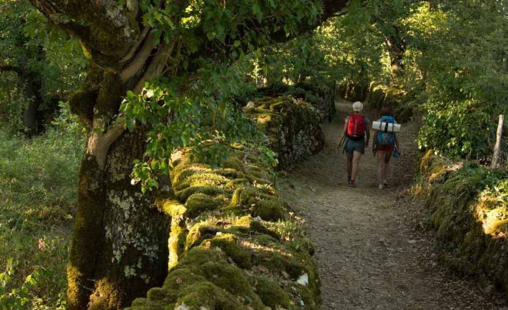 Emplacement de camping dans le Lot