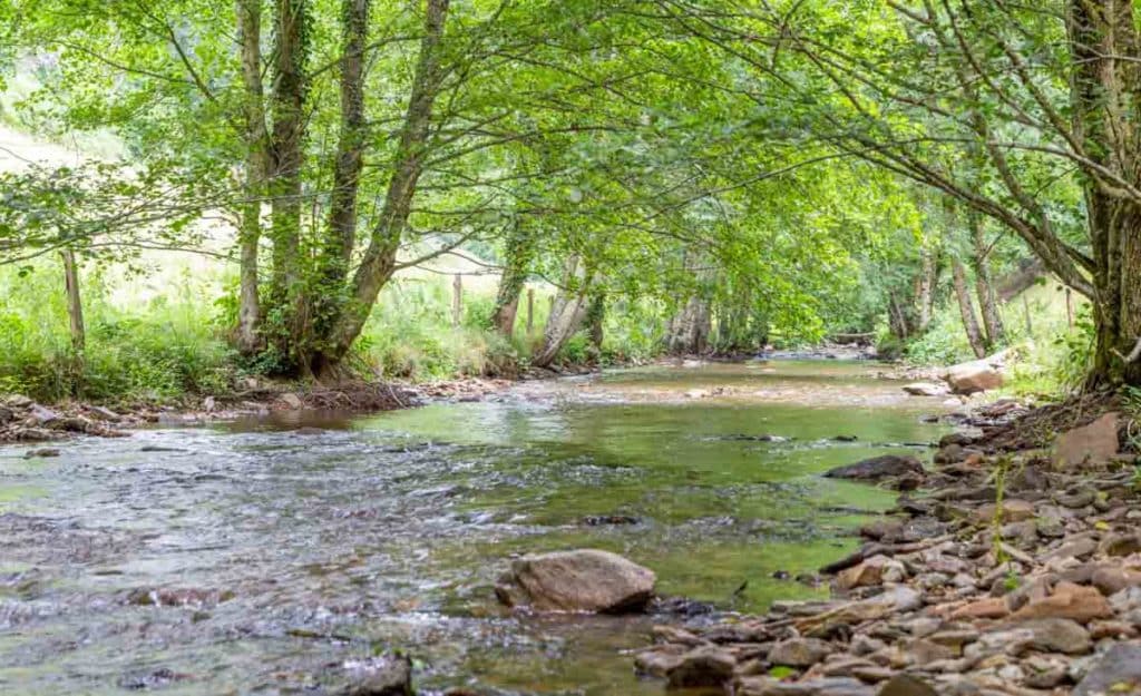 Emplacement de camping dans le Cantal