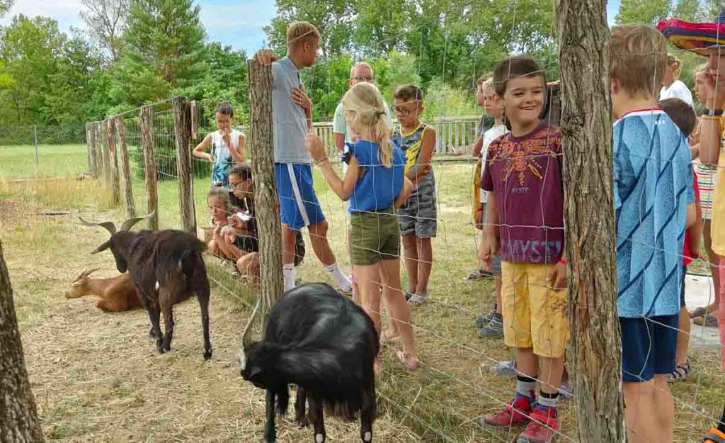 Emplacement de camping dans l'Ain