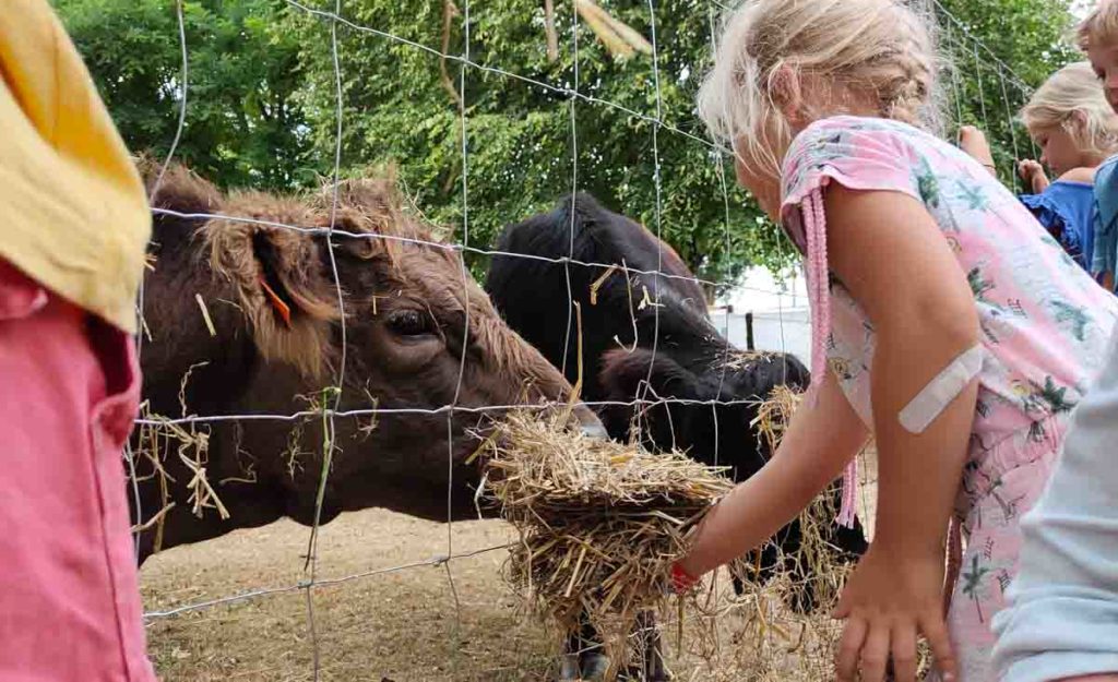 Emplacement de camping dans l'Ain