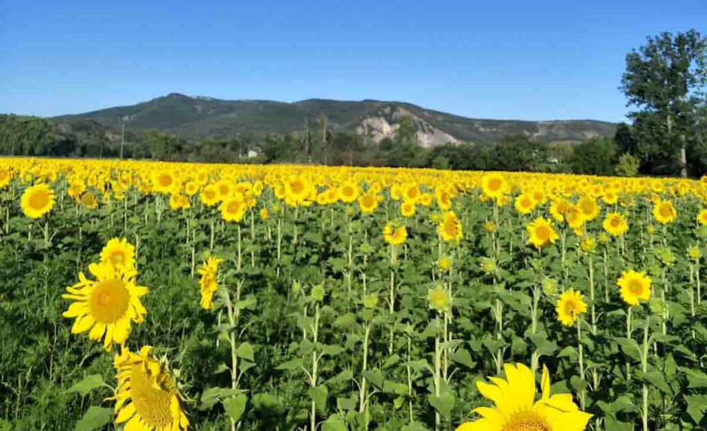 Emplacement de camping en Ardèche