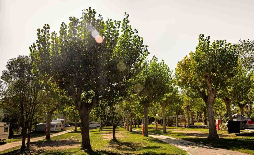 Emplacement de camping sur le lac de Garde