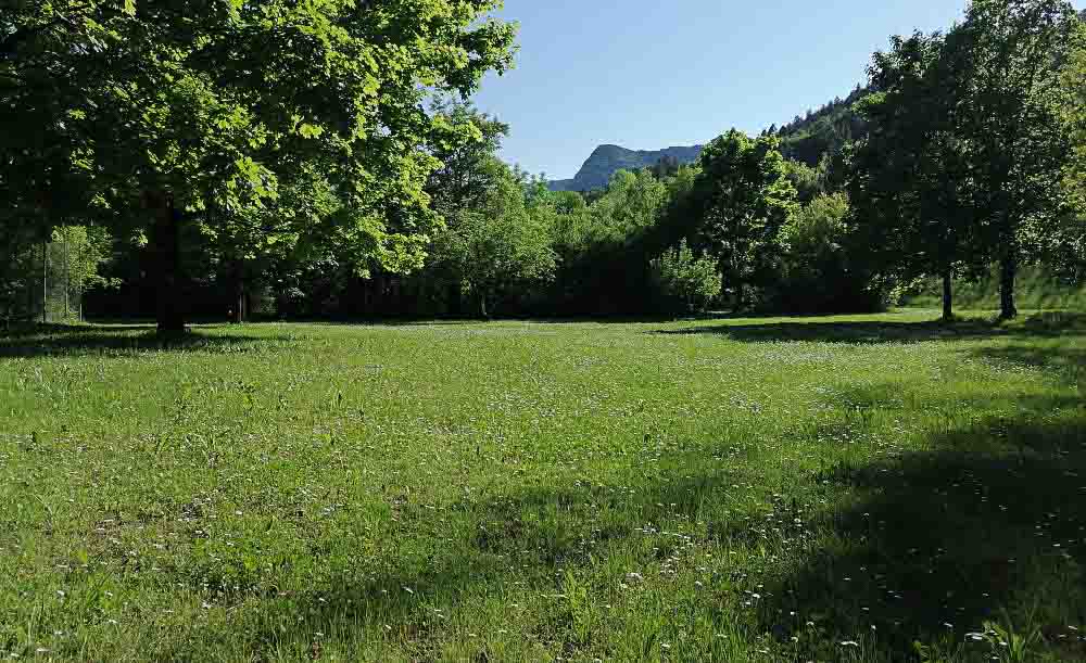 Emplacement de camping Ondine Provence