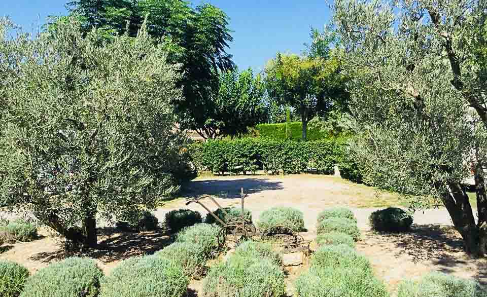 Emplacement de camping à Saint Rémy de Provence