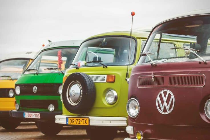 VW Bus Festival