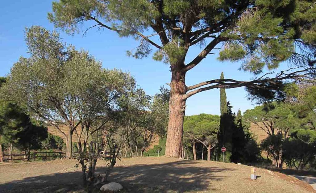 Camping Banyuls Pyrénées Orientales