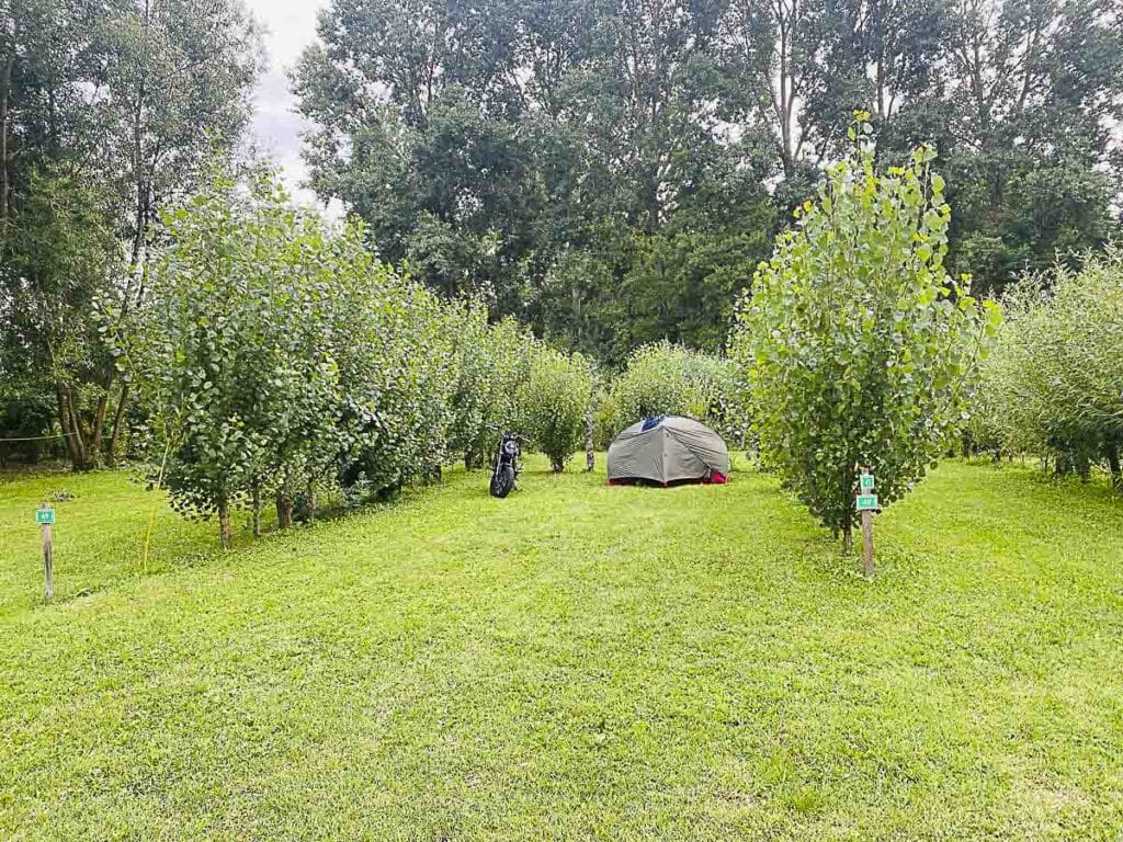 Emplacements de camping en Vendée au Marais Sauvage