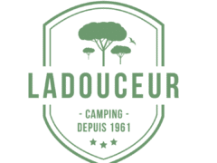 Design-sans-titre-5