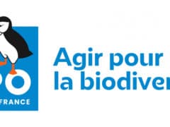 RVB_LPO_LOGOTYPE_SIGNATURE_DROITE_MEDIUM