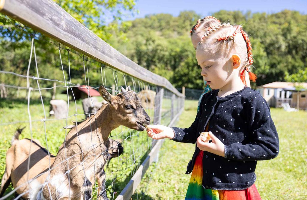 bel air 2024 218 1024x668