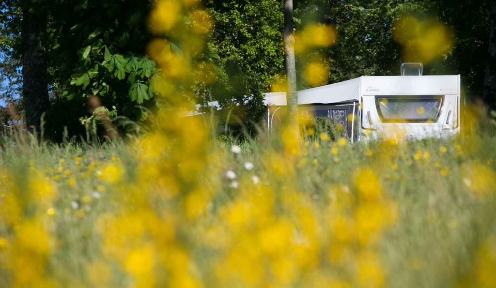 verdoyer 2018 0017 1024x595