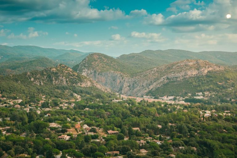 DSC 0457 1024x683 1 768x512