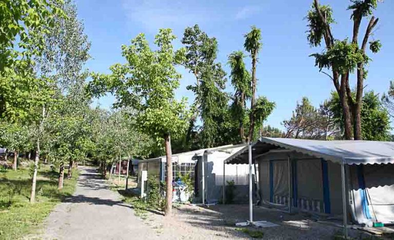 camping italie arizona 2023 002 768x469