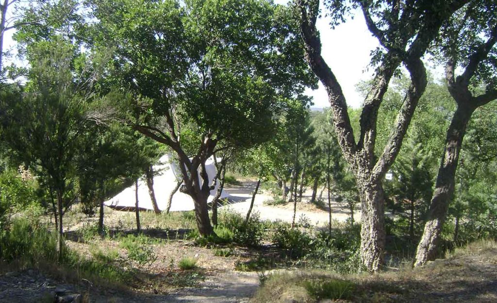 camping pyrenees orientales llauro7 1024x625 1