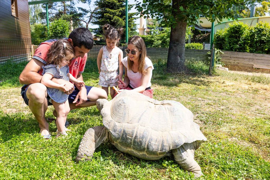 grappe fleurie 2023 028 1024x685