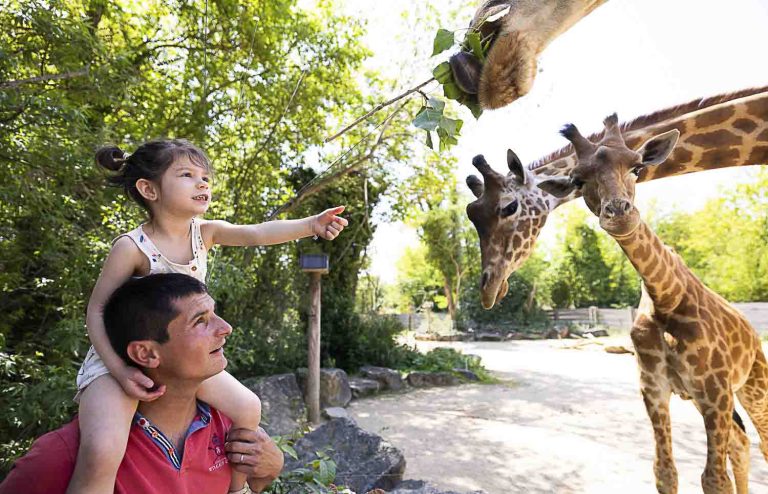 grappe fleurie 2023 045 768x494