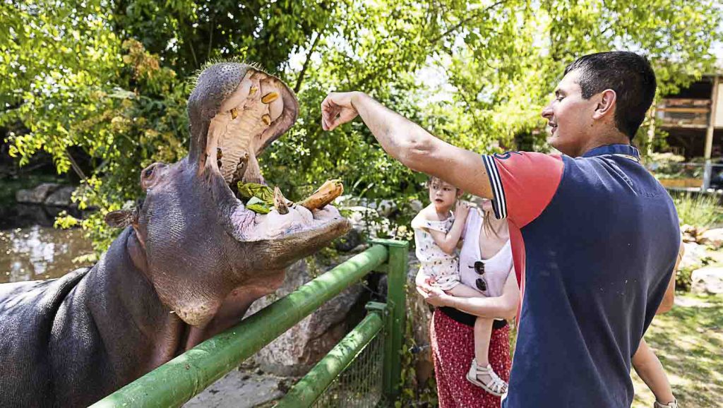 grappe fleurie 2023 065 1024x578