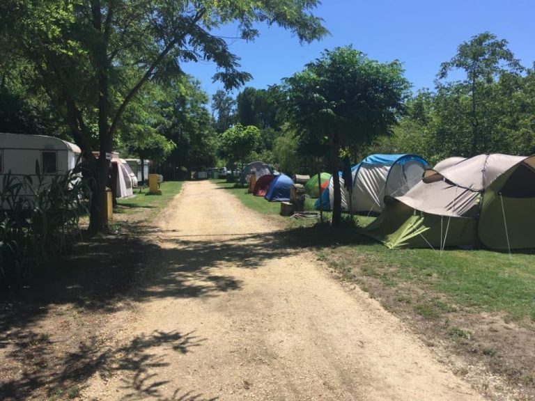 preview13 1024x768 1 768x576